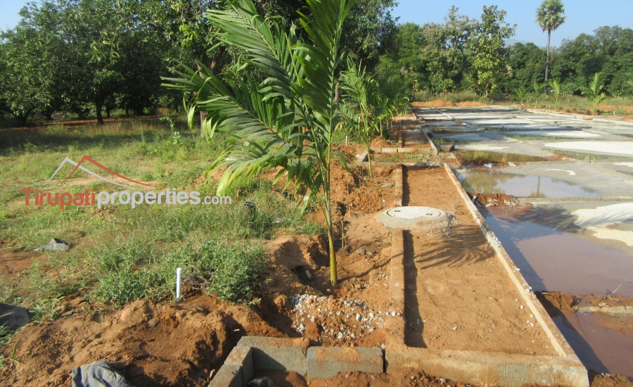 East and West Facing Plots for Sale Before Vidyanikethan College, Tirupati